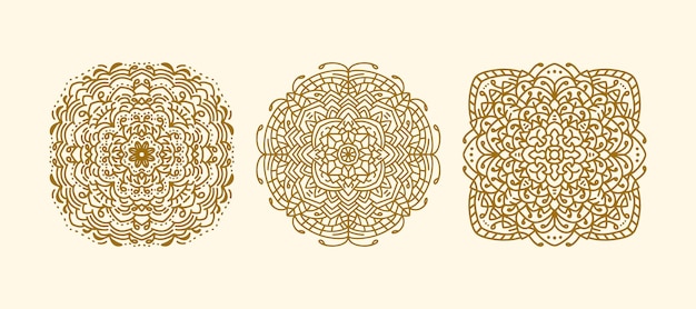 ethnic mandala ornament vector