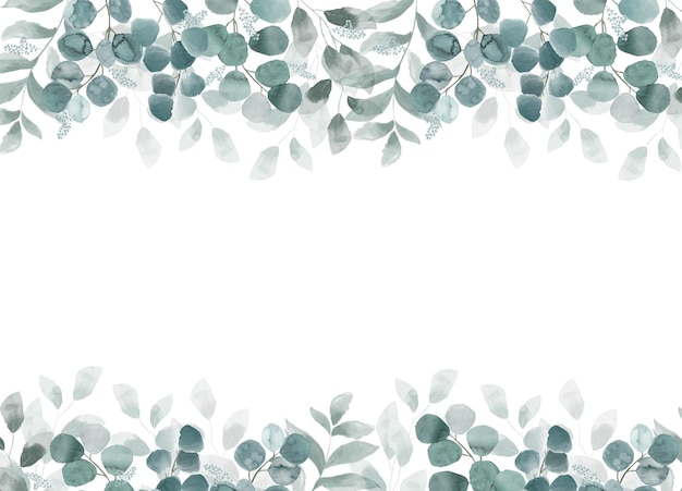 Eucalypt background1