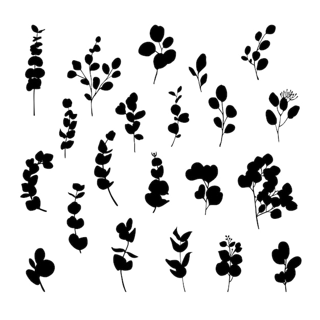 Eucalyptus branches silhouette vector collection