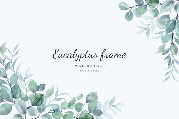 Eucalyptus leaves frame background with watercolor