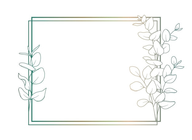 Vector eucalyptus line drawing black and white floral frames floral line art