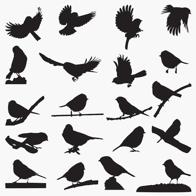 Eurasian Blue Tit Bird Silhouettes