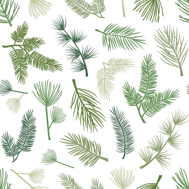 Evergreen plant and tree seamless pattern background with pine and fir branch Christmas and New Year