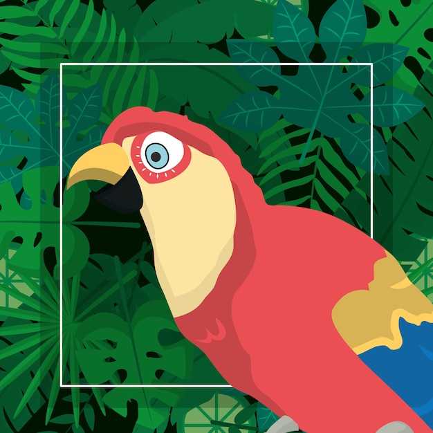 Vector exotic bird cartoon