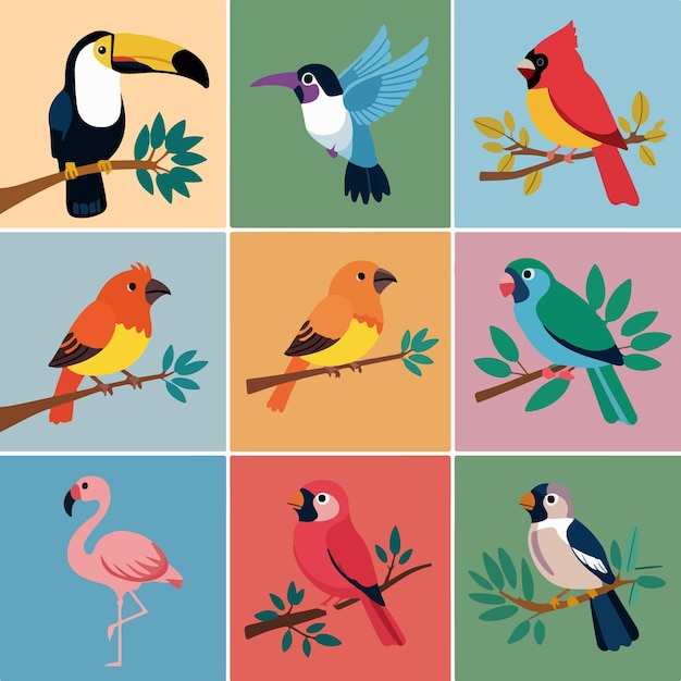 Vector exotic birds collection flat drawn