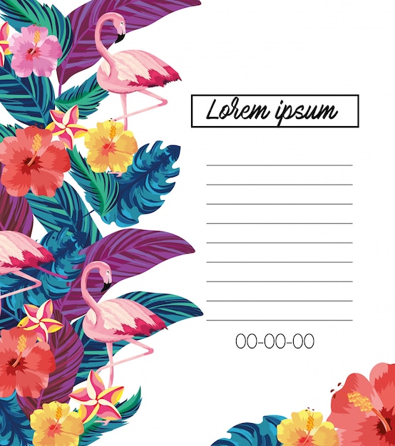 Exotic card with tropical flowers and flamingos