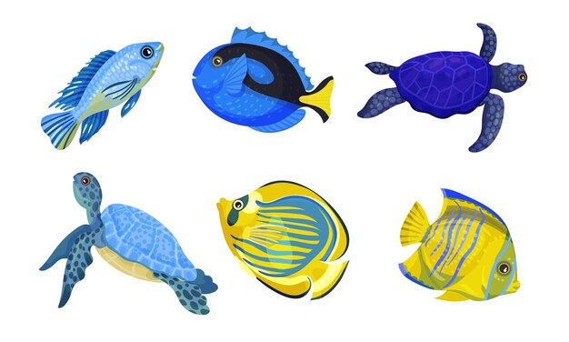 Exotic Fish and Turtles with Bright Colouring Vector Set