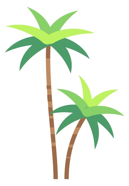 Exotic forest tree flat icon Tropical palm