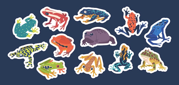 Vector exotic frog sticker set collection of vibrant patches featuring various species of unique and colorful frogs