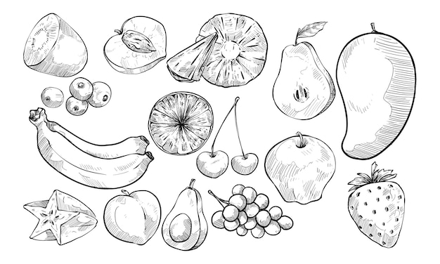 Vector exotic fruits handdrawn collection