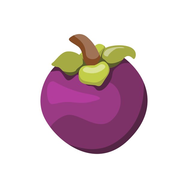 Vector exotic mangosteen fruit fresh tropical delight