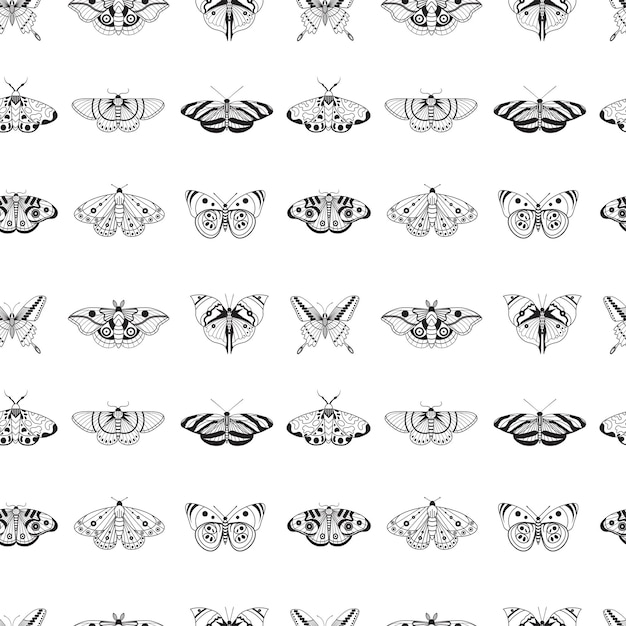 Vector exotic moth and tropical butterfly seamless pattern