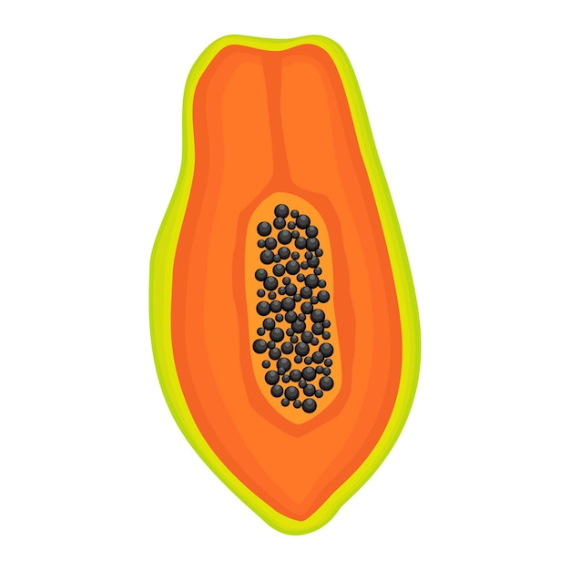 Exotic papaya vegan fruit vector flat isolated illustration