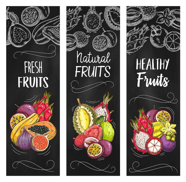 Exotic sketch fruits vector chalkboard banners set