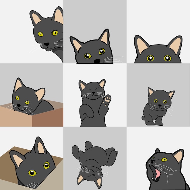 Expression of black cat