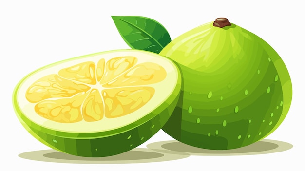 Exquisite Pomelo and Passion Fruit Vector Illustration