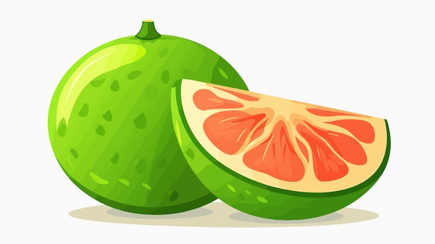 Exquisite Pomelo and Passion Fruit Vector Illustration