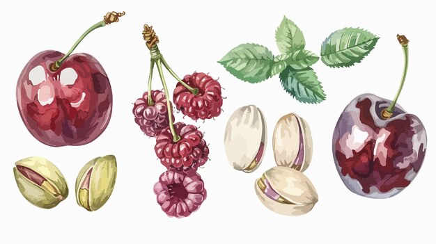 Exquisite Watercolor Illustration of Cherry Almond Raspberry Pistachio Delights