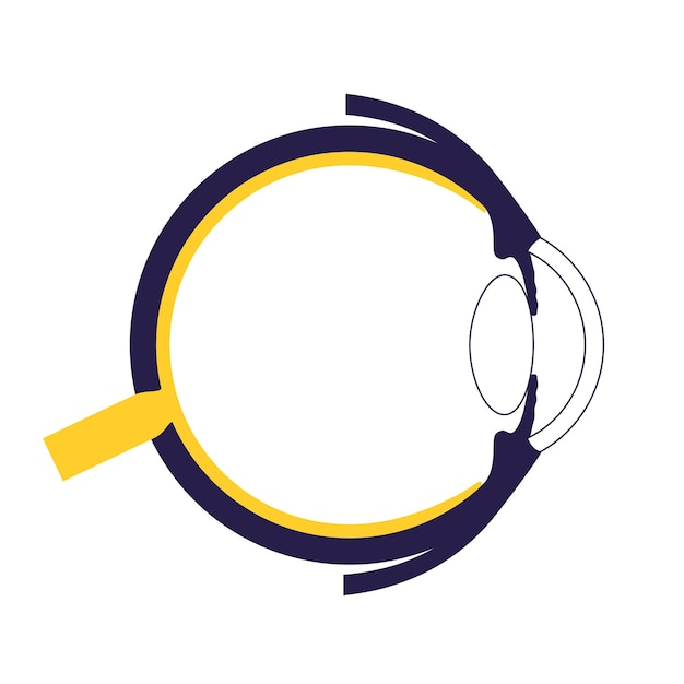 Eye anatomy Structure of the human eye infographic Outermost retina and sclera iris medical vector