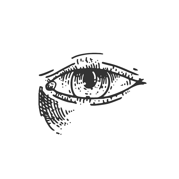 Vector eye hand drawn vintage engraving style vector illustration