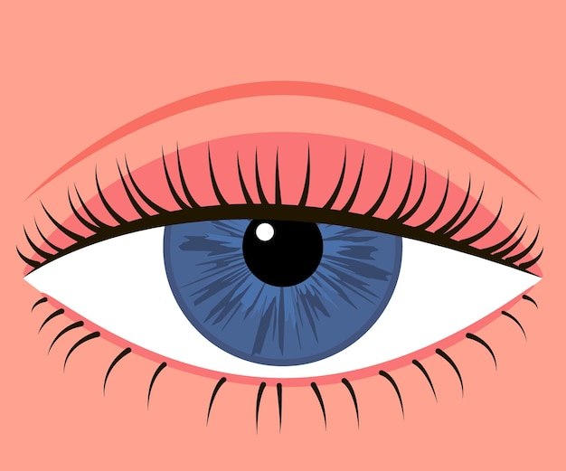 Eye with down lid Blepharoplasty eyelid surgery Correction aesthetic view of eye Vector illustration