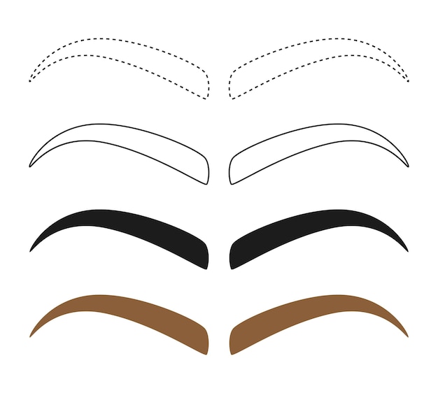 Vector eyebrow tracing on white background