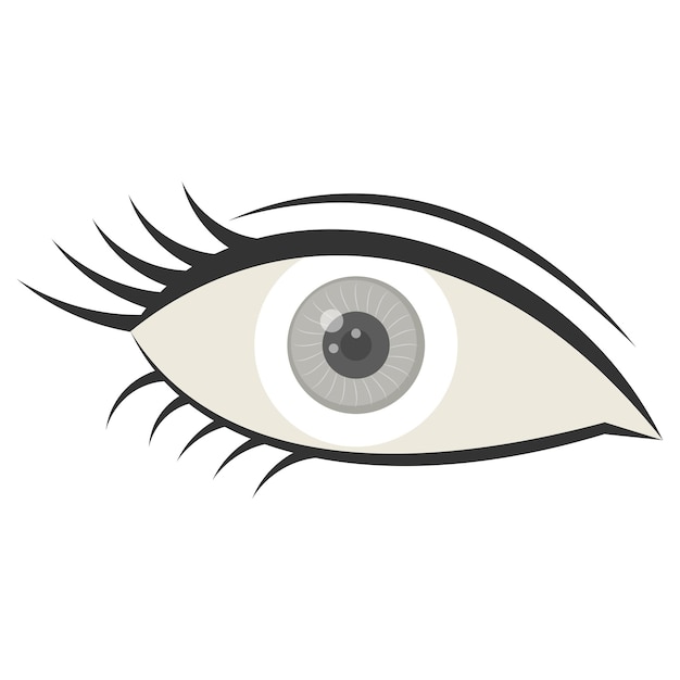 Eyelash with Grey Contact Lens Vector Design Organ System Human Anatomy Human Body Parts Human Eye