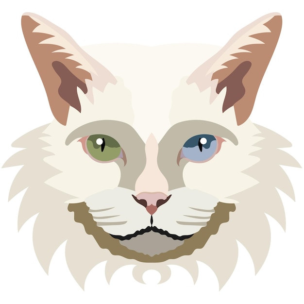 The face of the khao manee cat Vector portrait of a cat's head on a white background The muzzle of an animal of the feline genus