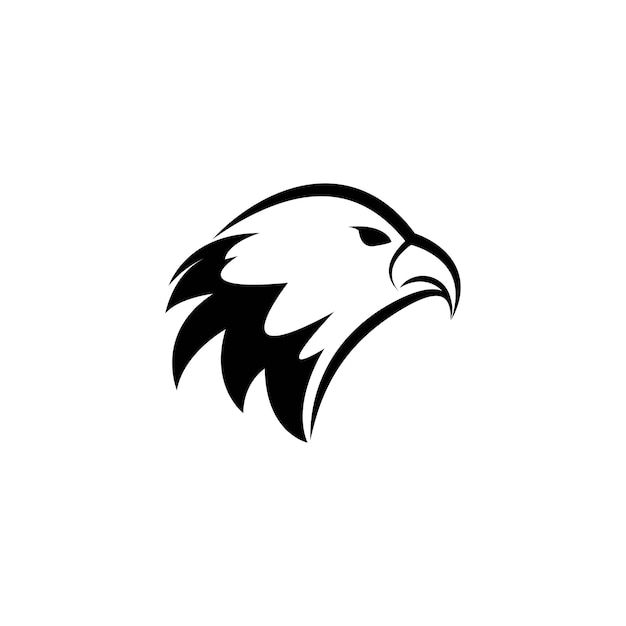 Falcon Logo Template vector