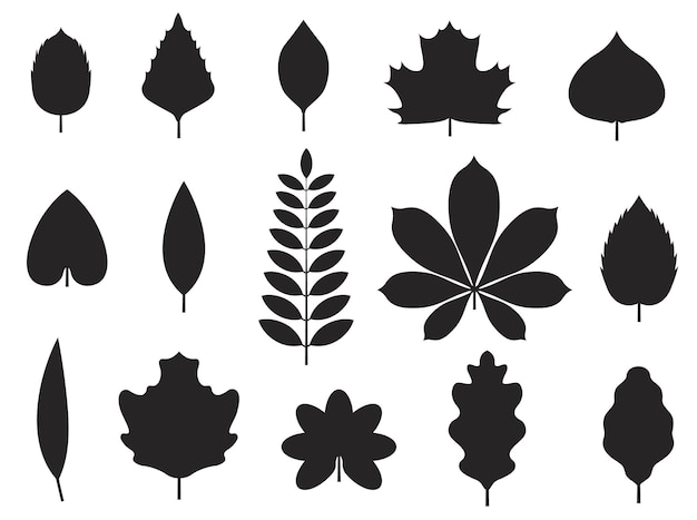 Fall leaves isolated Vectors Silhouettes