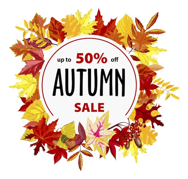 Fall season sale and discounts, promotional banner or poster with 50 percent off cost. Lowering of price and clearance, autumn flyer with leaves and rounded circle shape. Vector in flat style