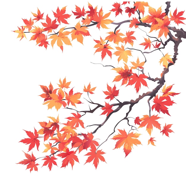 Vector fall tree branch clipart set vector graphics maple tree branches white background