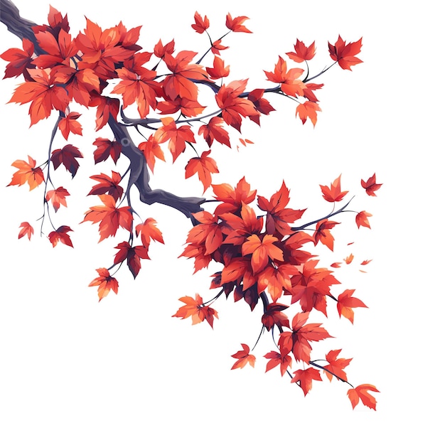 Vector fall tree branch clipart set vector graphics maple tree branches white background