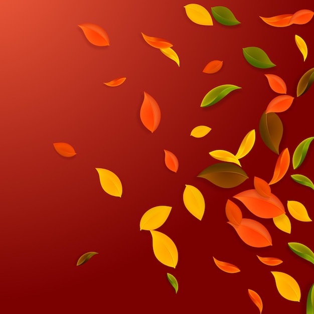 Falling autumn leaves. Red, yellow, green, brown chaotic leaves flying. Gradient colorful foliage on remarkable red background. Awesome back to school sale.