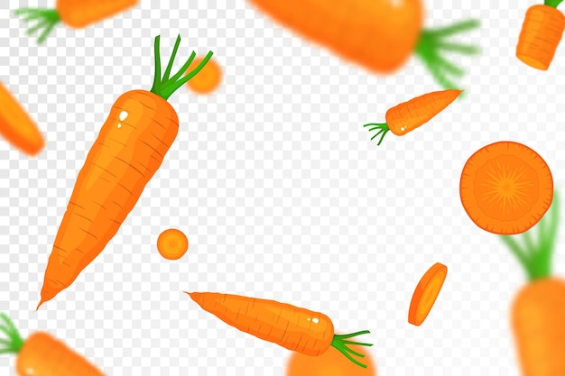 Falling carrots isolated on transparent background Flying whole and sliced vegetable with blurry effect Can be used for advertising packaging banner poster print vector flat design