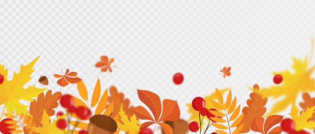 Falling colorful autumn maple and oak leaves viburnum and acorns with defocused blur effect Autumn background with leaf fall for your design vector illustration Flat design