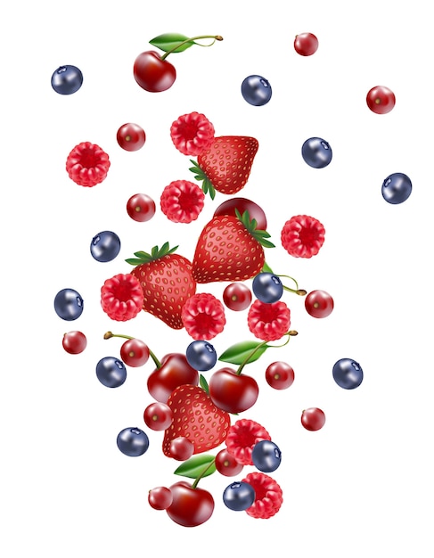 Vector  falling mix berry fruit banner, isolated on white blank background.