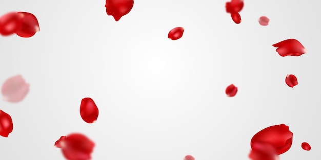 Falling rose petals background vector design 3D illustration