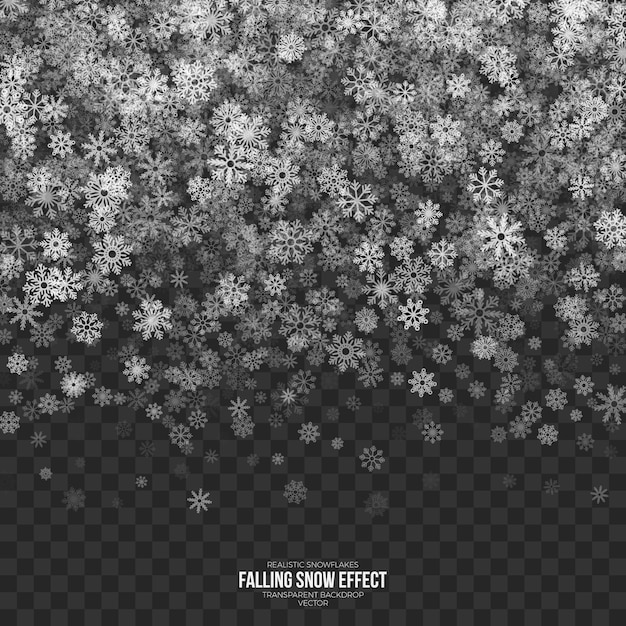 Falling Snow Effect Transparent Background