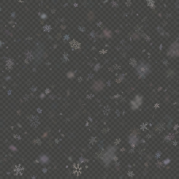 Falling snow flake purple overlay effect teplate  on transparent background. 