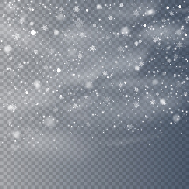 Vector falling snow overlay