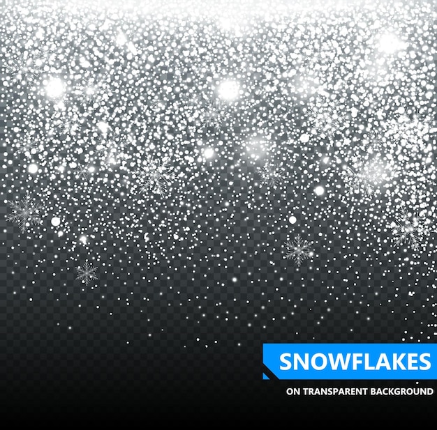 The falling snow on a transparent background Snowfall Christmas Snowflakes Snowflake vector illu