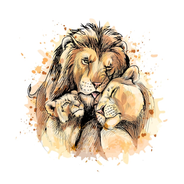 Family of lions from a splash of watercolor, hand drawn sketch.  illustration of paints