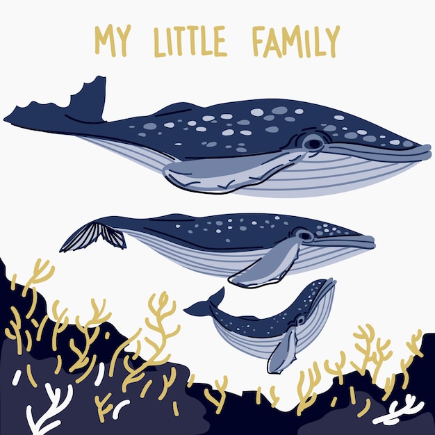 Vector family of whales on a white background like a postcard signature my little family dad mom baby