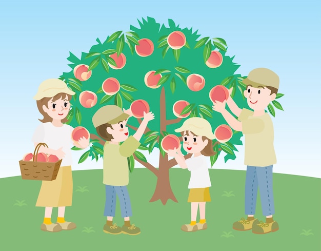 The family who does peach picking