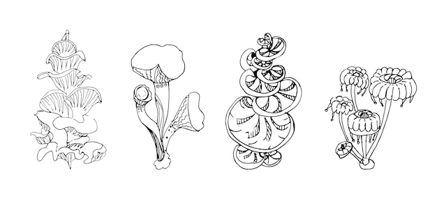 Fantasy decorative set of hand drawn magic mushrooms various shape on white background Vector illustration