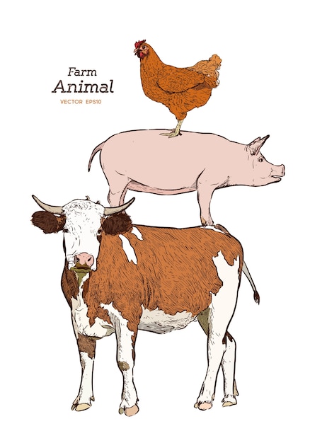 Farm animals. Isolated Vintage vector set . Cow, pig and chicken