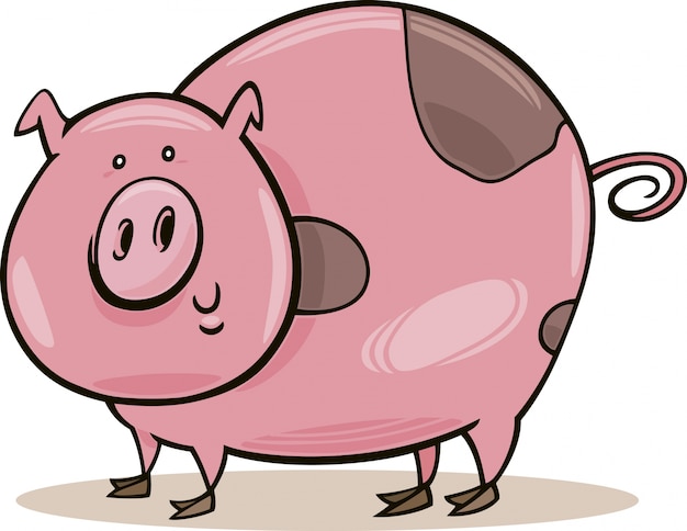 Farm animals: spotted pig