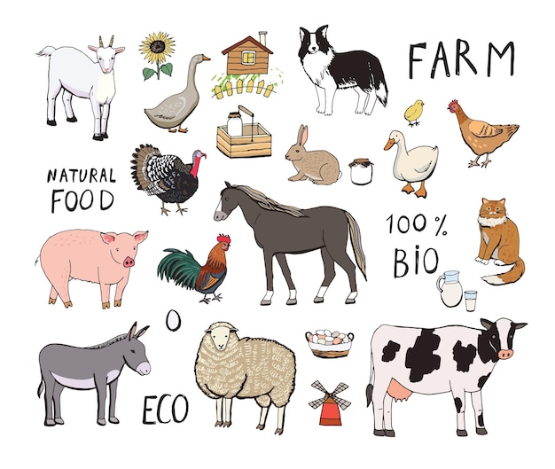 Farm animals vector illustrations set