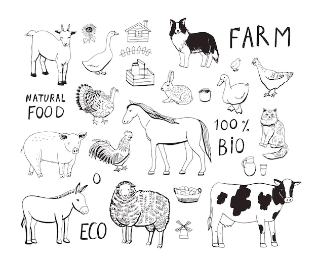 Farm animals vector illustrations set